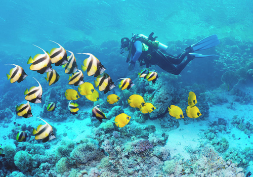 scuba-diving-in-malvan-tarkarli